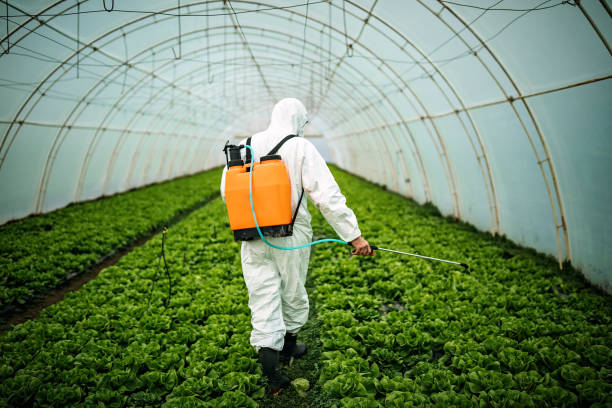 Best Pest Removal Services  in Marion, WI