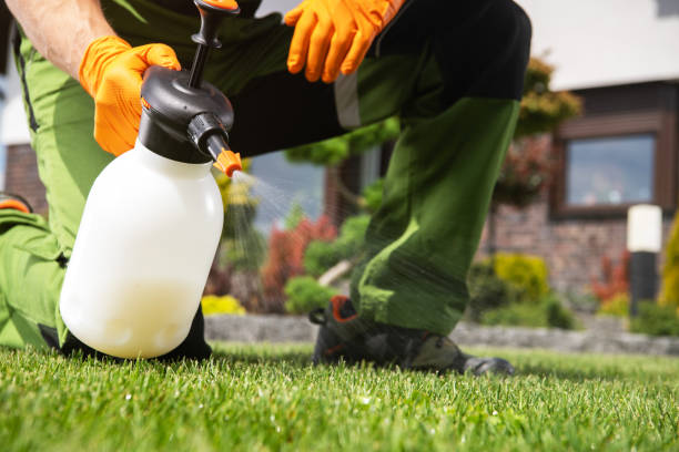 Best Cockroach Control Services  in Marion, WI