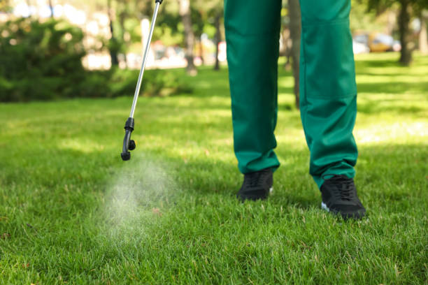 Best Rat Extermination Near Me  in Marion, WI