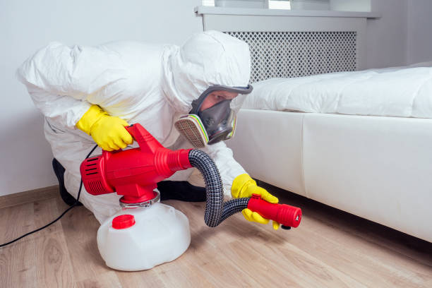 Best Wasp Removal Services  in Marion, WI