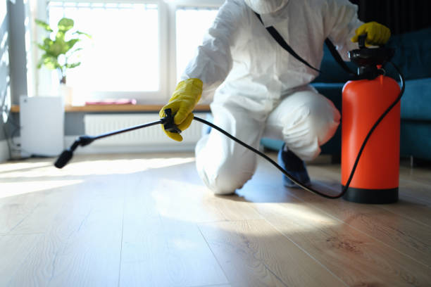 Best Termite Control Services  in Marion, WI