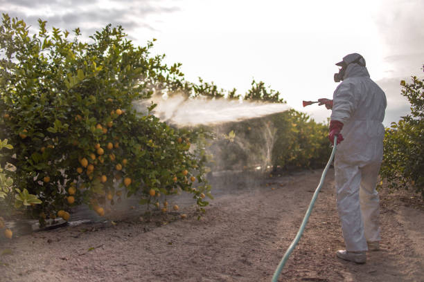 Best Wasp Removal Services  in Marion, WI
