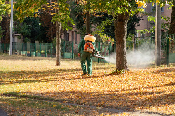 Trusted Marion, WI Pest Control Experts