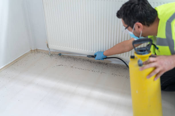 Best Pest Removal Services  in Marion, WI