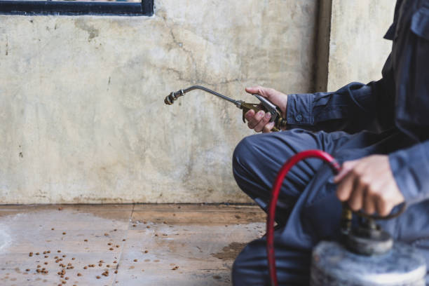 Best Pest Prevention Services  in Marion, WI